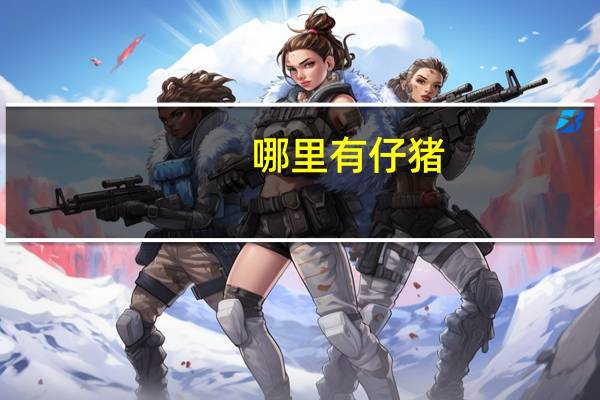 哪里有仔猪