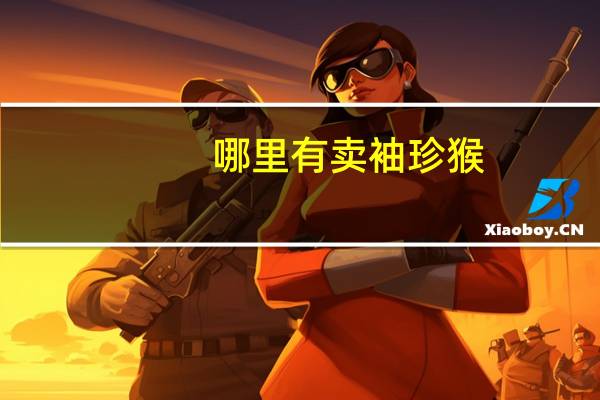 哪里有卖袖珍猴