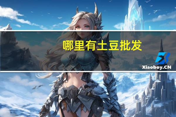 哪里有土豆批发