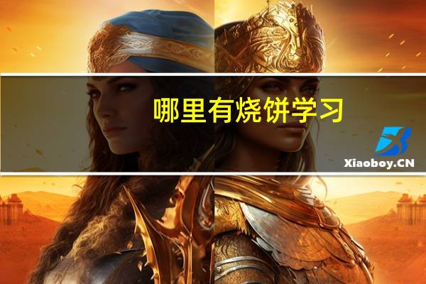 哪里有烧饼学习