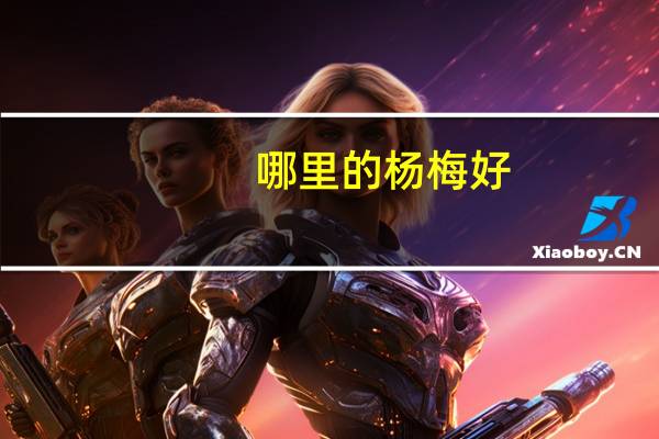 哪里的杨梅好