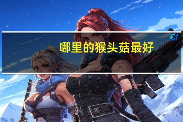 哪里的猴头菇最好