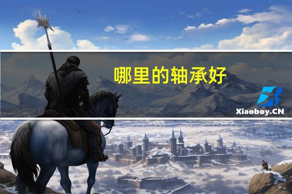哪里的轴承好