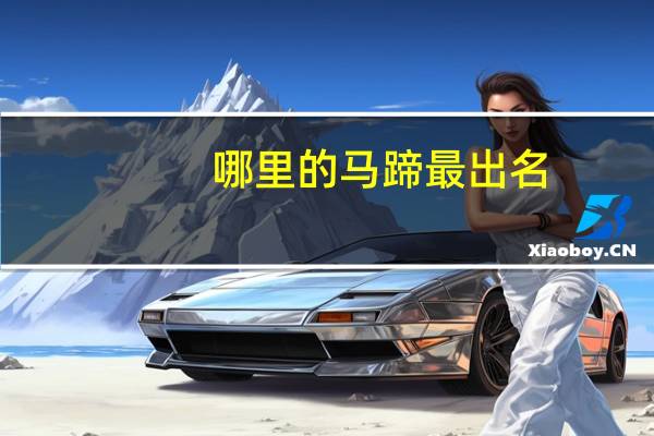 哪里的马蹄最出名