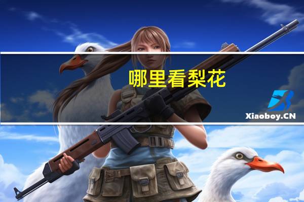 哪里看梨花