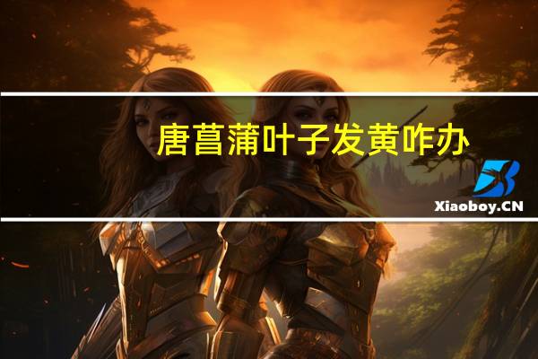 唐菖蒲叶子发黄咋办