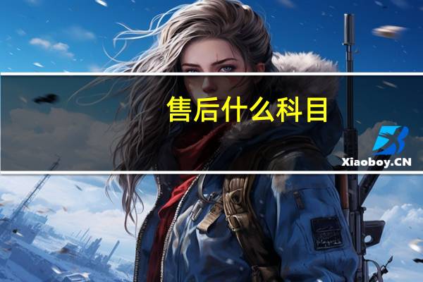 售后什么科目