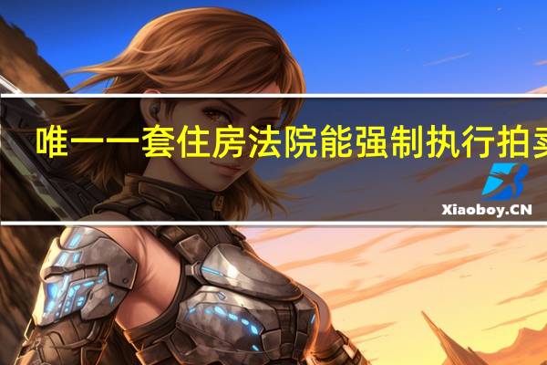 唯一一套住房法院能强制执行拍卖吗
