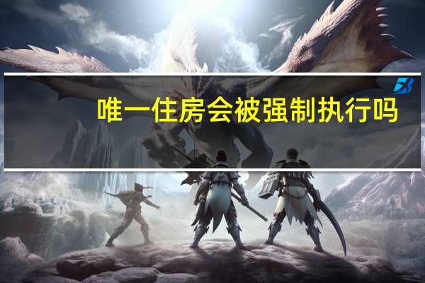 唯一住房会被强制执行吗