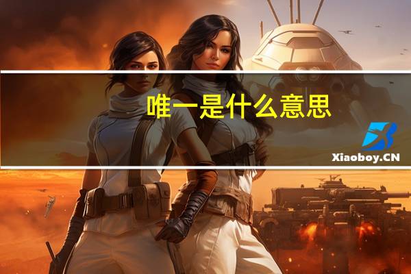 唯一是什么意思