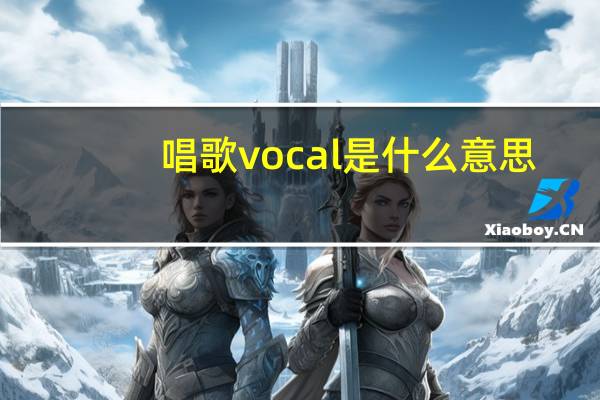 唱歌vocal是什么意思