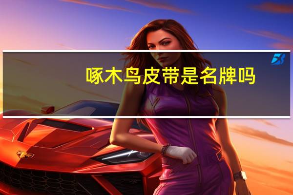 啄木鸟皮带是名牌吗