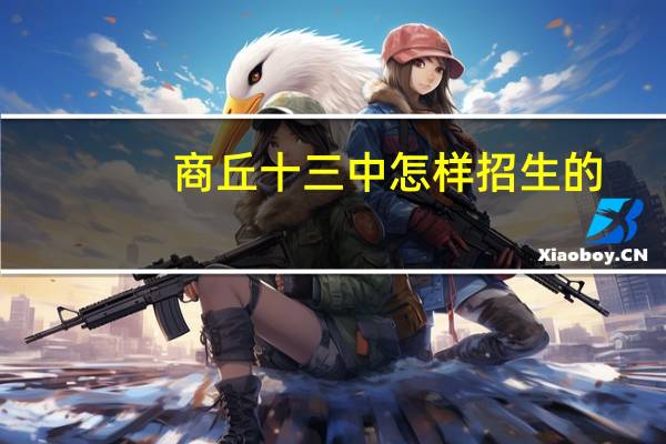 商丘十三中怎样招生的