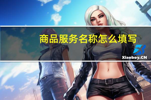 商品服务名称怎么填写
