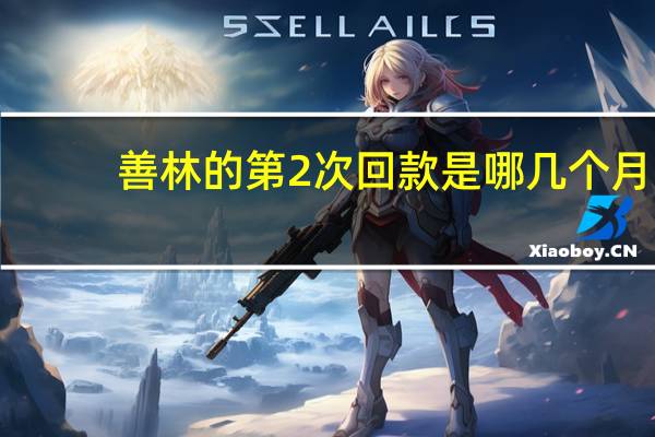 善林的第2次回款是哪几个月