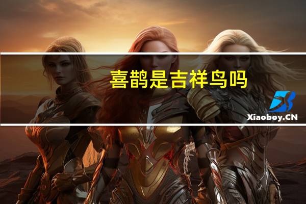 喜鹊是吉祥鸟吗