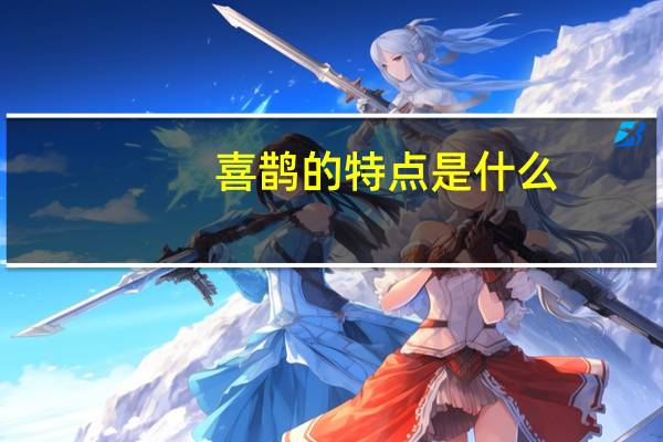 喜鹊的特点是什么？
