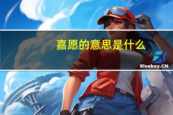 嘉愿的意思是什么