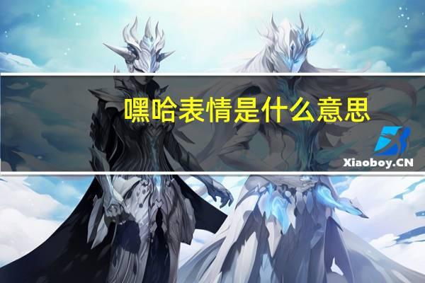 嘿哈表情是什么意思