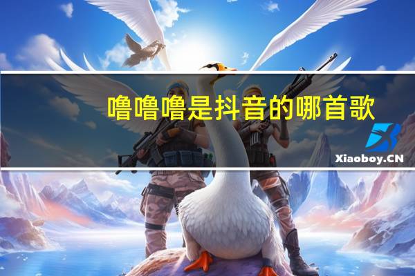 噜噜噜是抖音的哪首歌