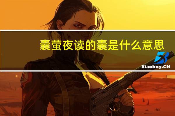 囊萤夜读的囊是什么意思