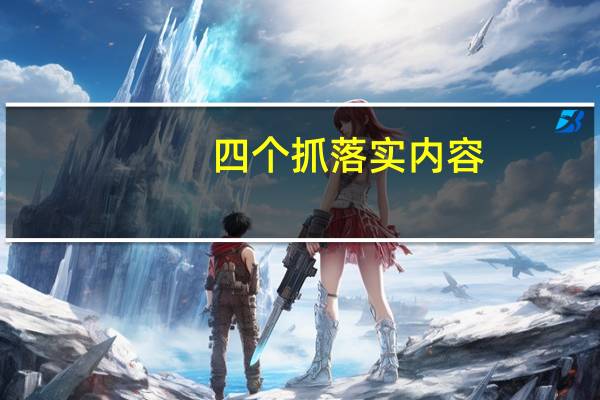 四个抓落实内容