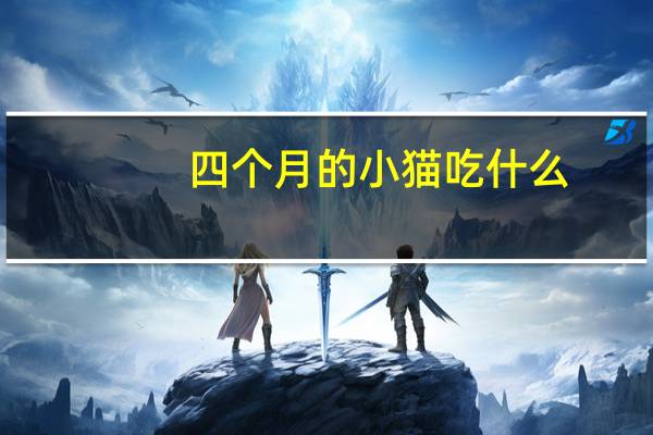 四个月的小猫吃什么