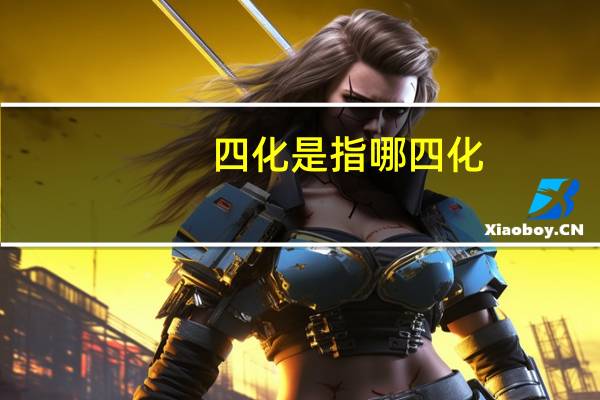 四化是指哪四化