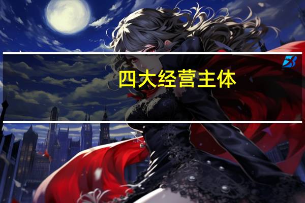 四大经营主体