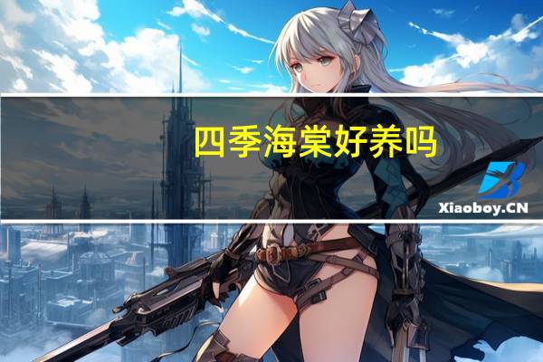 四季海棠好养吗