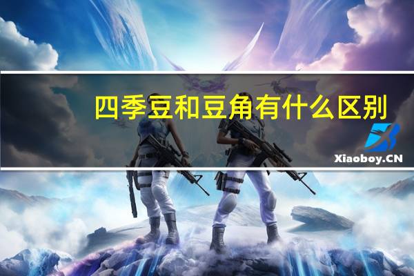 四季豆和豆角有什么区别
