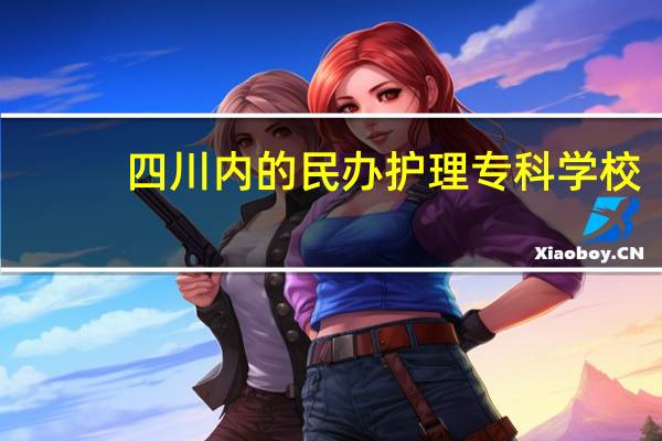 四川内的民办护理专科学校