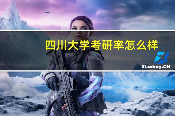 四川大学考研率怎么样