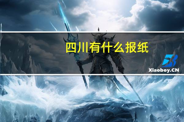四川有什么报纸