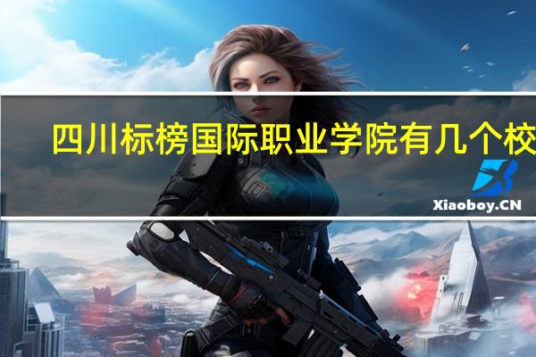 四川标榜国际职业学院有几个校区