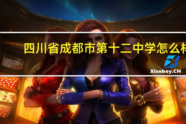 四川省成都市第十二中学怎么样