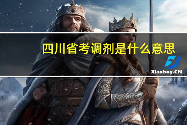 四川省考调剂是什么意思