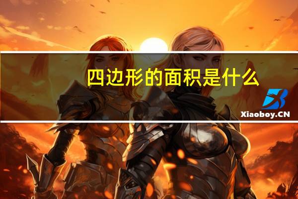 四边形的面积是什么