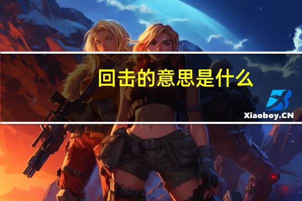 回击的意思是什么