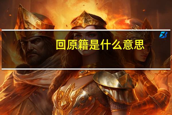 回原籍是什么意思