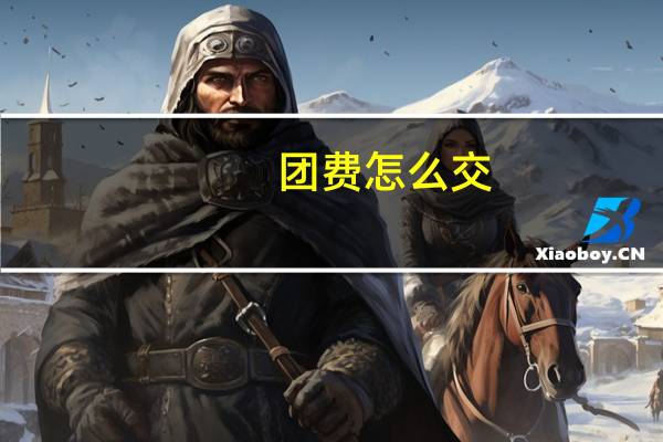 团费怎么交
