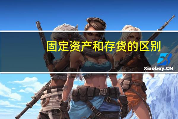 固定资产和存货的区别