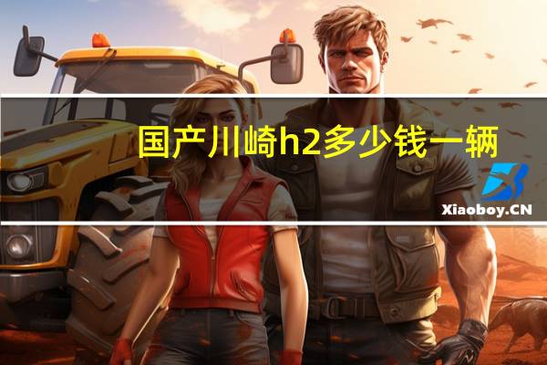 国产川崎h2多少钱一辆