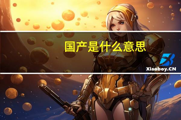 国产是什么意思