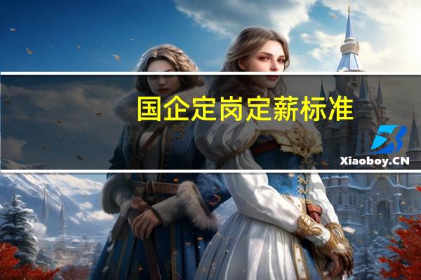 国企定岗定薪标准