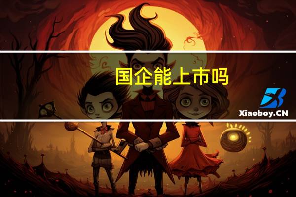 国企能上市吗