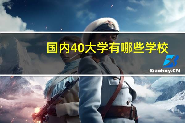 国内4 0大学有哪些学校