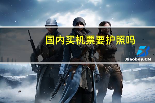 国内买机票要护照吗