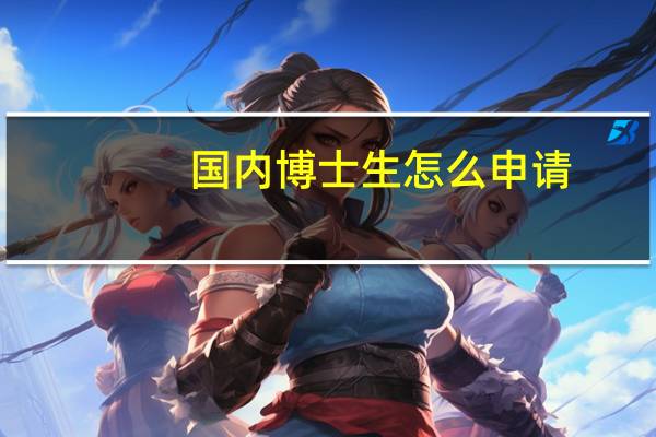 国内博士生怎么申请