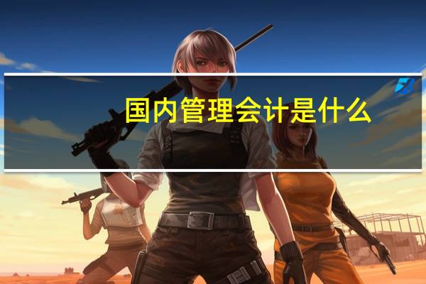 国内管理会计是什么